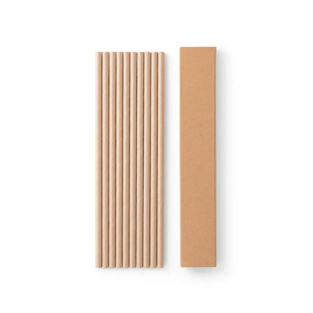 Conjunto de 10 canudos em papel kraft
